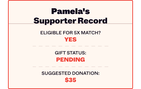 Pamela's Supporter Record: Eligible for 5X match? YES  // Gift Status: PENDING  // Suggested Donation: $35.00