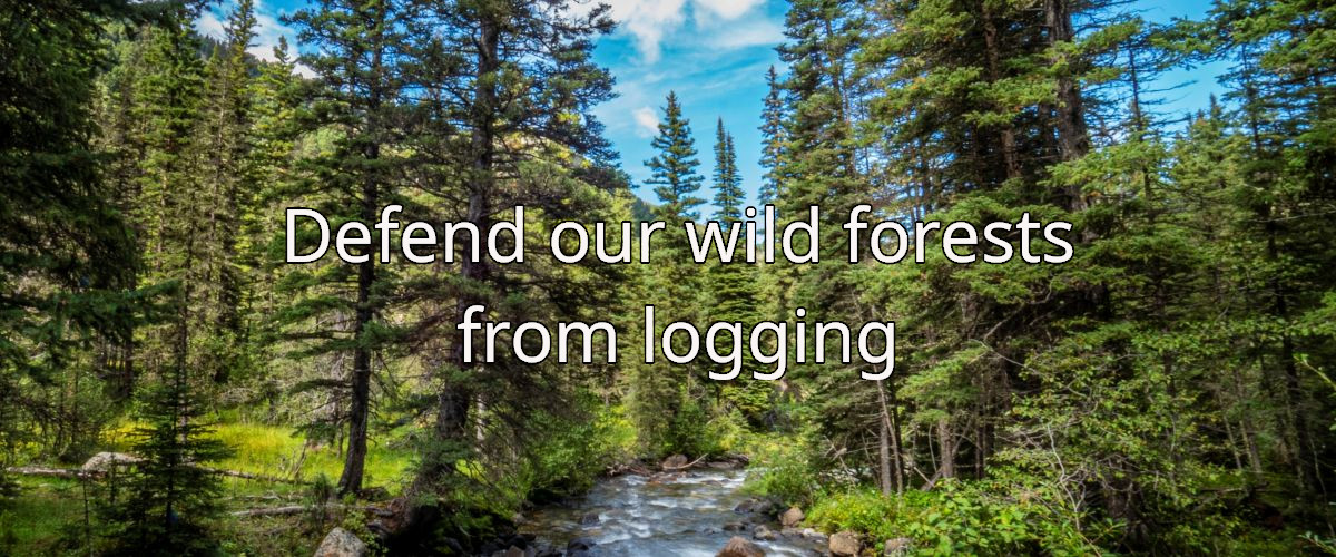 Environment Colorado Earth Day 2026 Drive