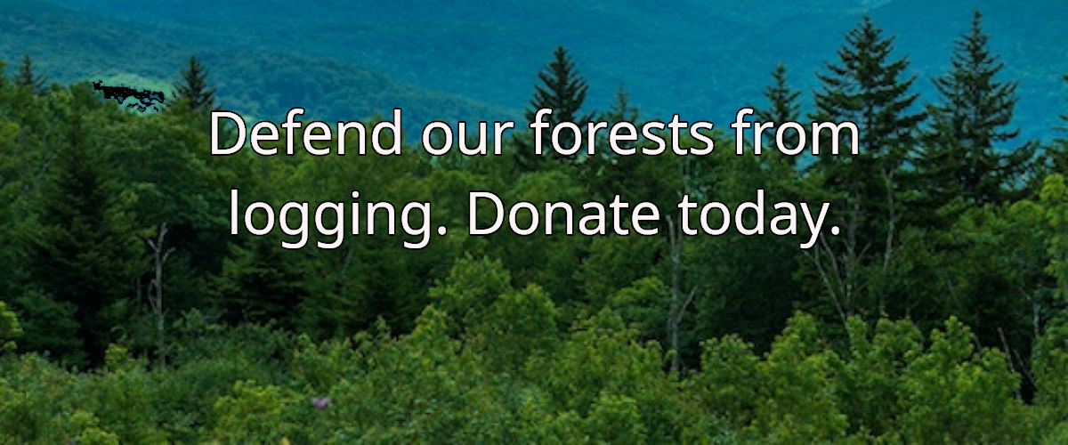 Environment Colorado End of Year Drive