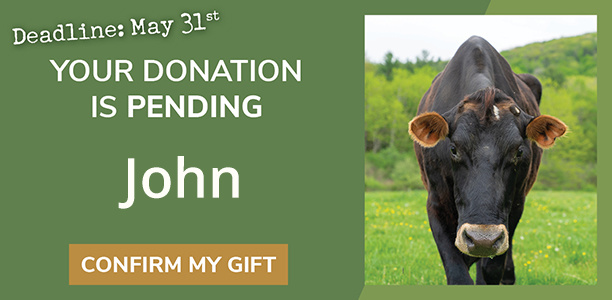 A green banner that reads Deadline: May 31st Your Donation Is Pending with a photo of Norman steer and a gold button with text, Confirm My Gift