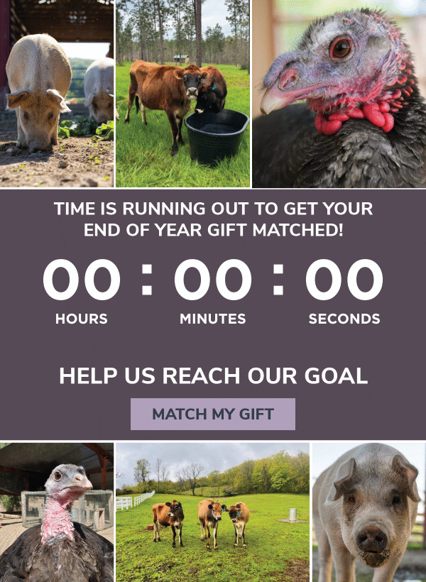 Please confirm your support! Donate now