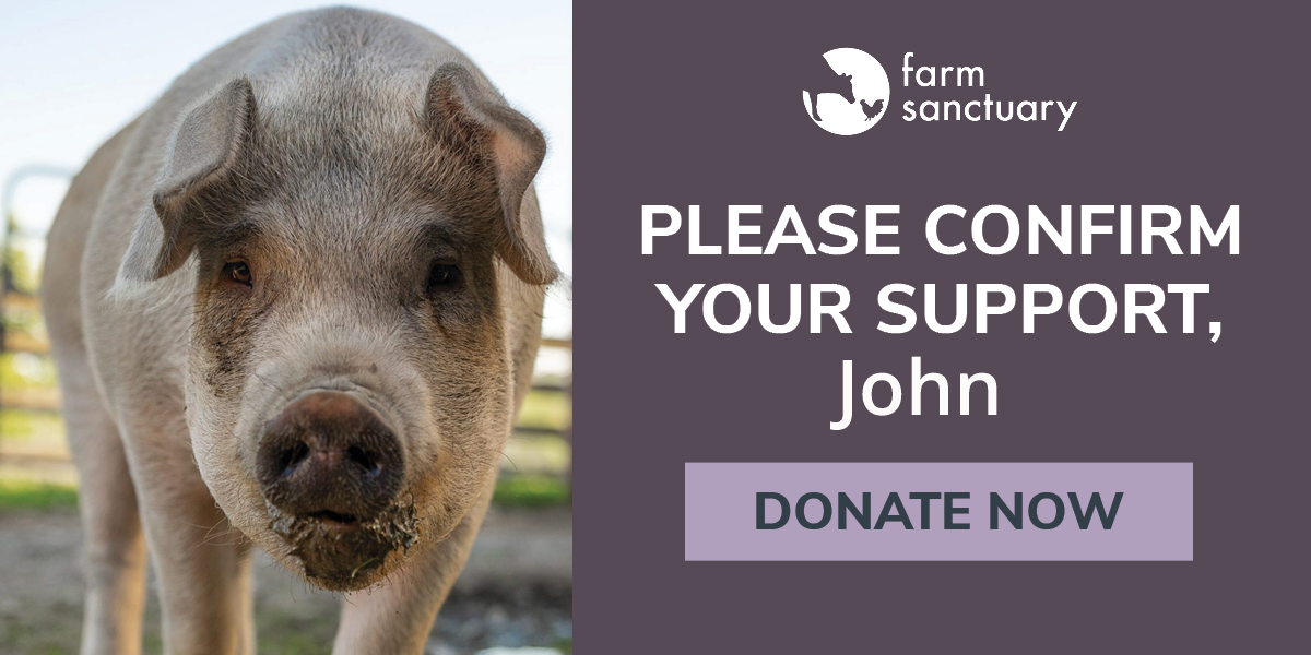 Please confirm your support! Donate now