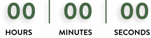 Countdown Timer