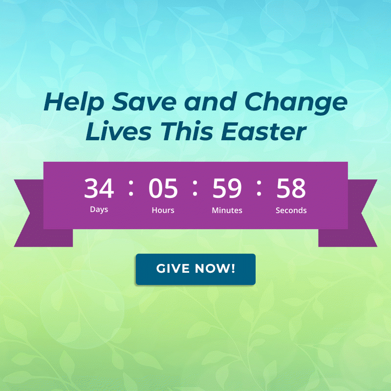 Give a $2.64 Meal Today