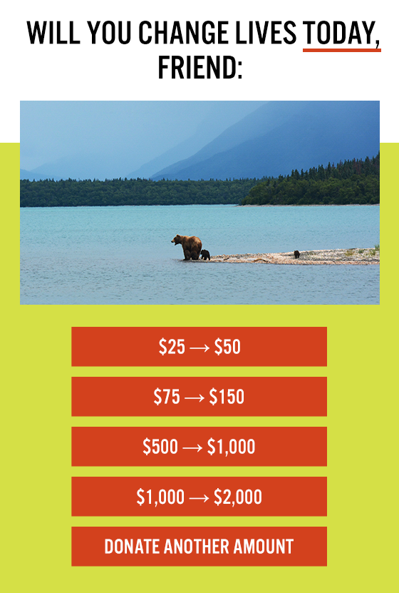 Will you change lives today? An image of bears and various donation options doubling.