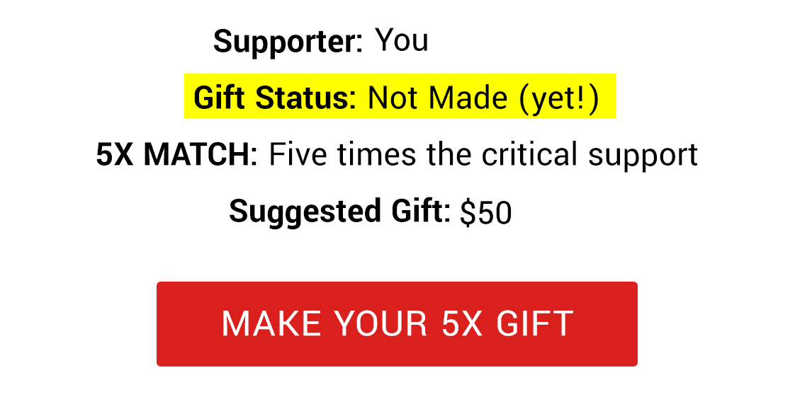 Supporter: You. Gift Status: Not Made (yet!) 5X MATCH: Five times the critical support. Make your 5x Gift.