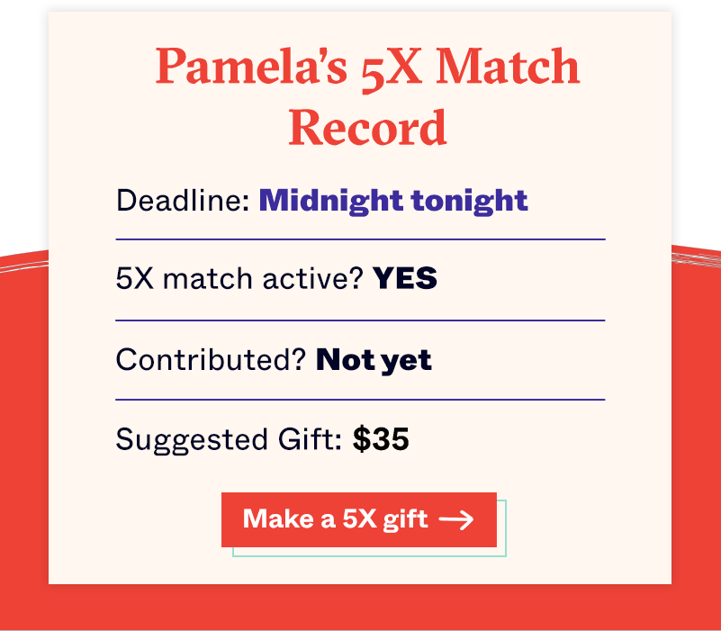 Pamela's supporter record. Deadline: Midnight tonight. 5X match active? YES Contributed? Not yet. Suggested gift: $35. Make a 5X gift →