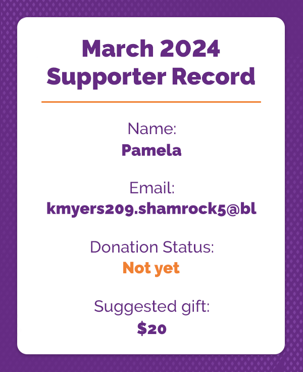 A graphic showing the supporters donation record. 