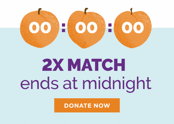 2X MATCH ends at midnight 6/30. Donate now.