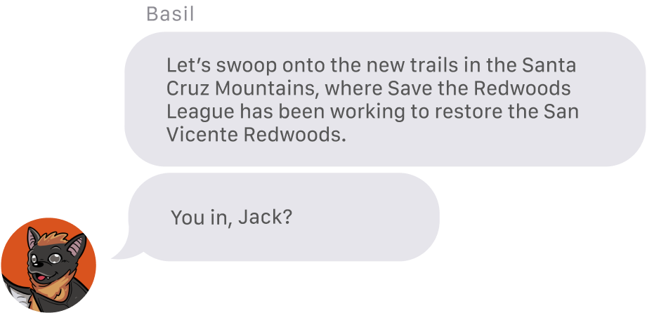 From Basil the Bat: Let’s swoop onto the new trails in the Santa Cruz Mountains, where Save the Redwoods League has been working to restore the San Vicente Redwoods. You in, Jack?