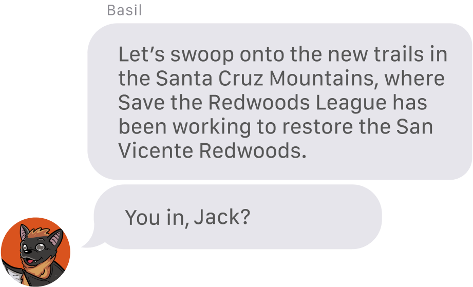 From Basil the Bat: Let’s swoop onto the new trails in the Santa Cruz Mountains, where Save the Redwoods League has been working to restore the San Vicente Redwoods. You in, Jack?