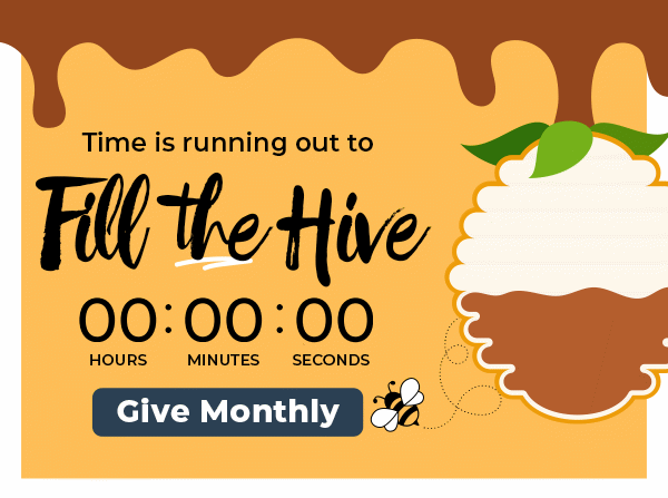 Help Fill the Hive! Give today: