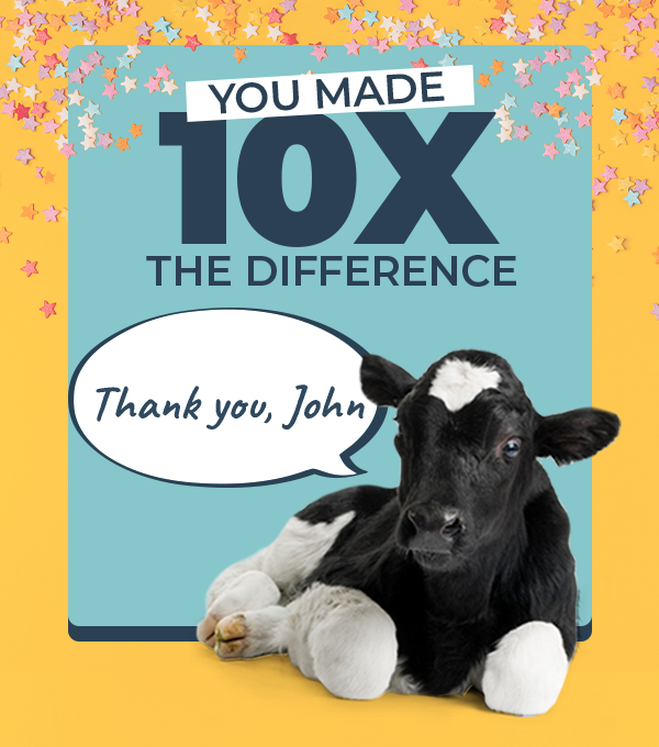 Match Extended: Multiply Your Impact 10x, Up to $500,000. Donate today!