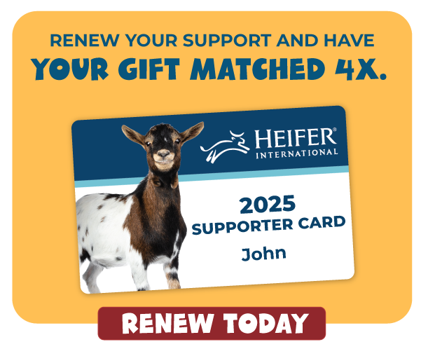 Renew today and have your gift matched 4X!