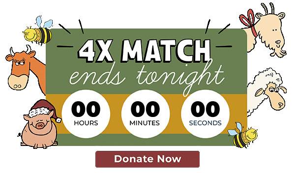 Your monthly donation will be matched all year long!