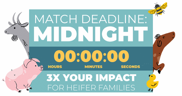 Give Before Midnight Tonight and Triple Your Impact for Heifer Families