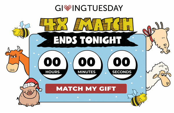 4X Match ends tonight — Match my gift!