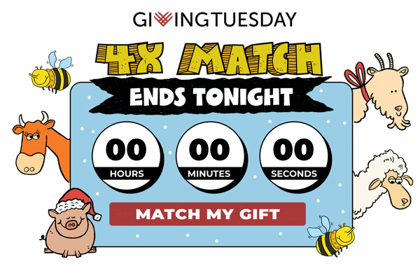 4X Match ends tonight — Match your gift!