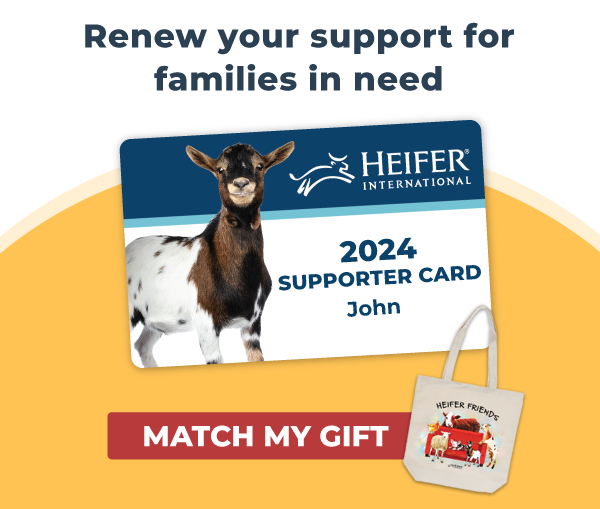 Renew your support and have your Heifer gift matched all year long: