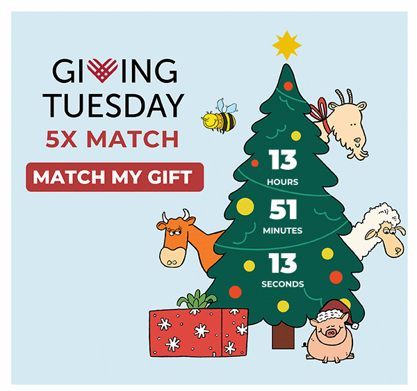 5X Match ends soon — Match your gift!