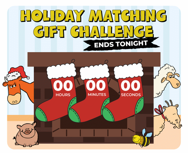 The Holiday Matching Gift Challenge ends tonight!