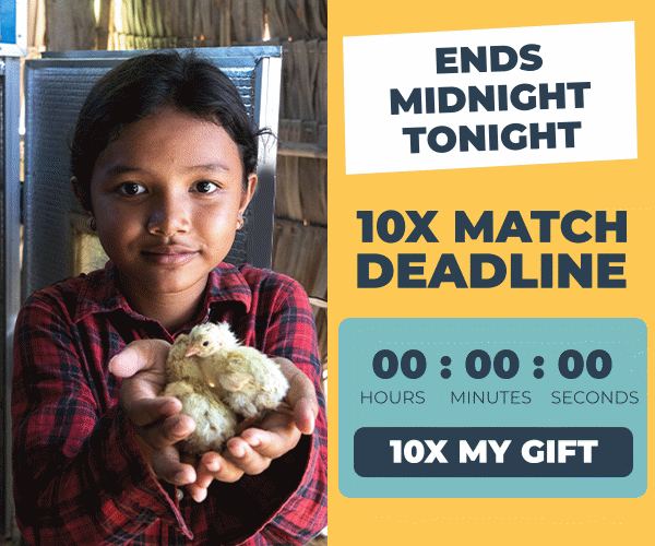 Match Announcement: Multiply Your Impact 10x, Up to $500,000. Donate today!