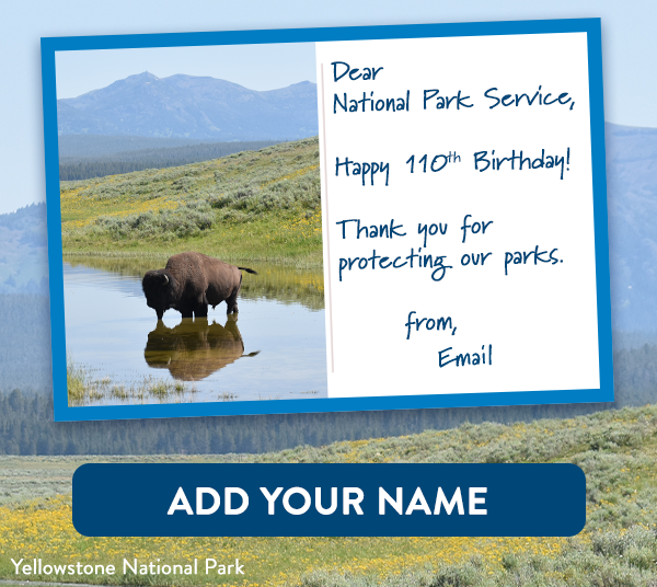 Image of Bison drinking water in Yellowstone National Park. Text reads: Dear National Park Service, Happy 110th Birthday! Thank you for protecting our parks. From, You! Button: Add Your Name